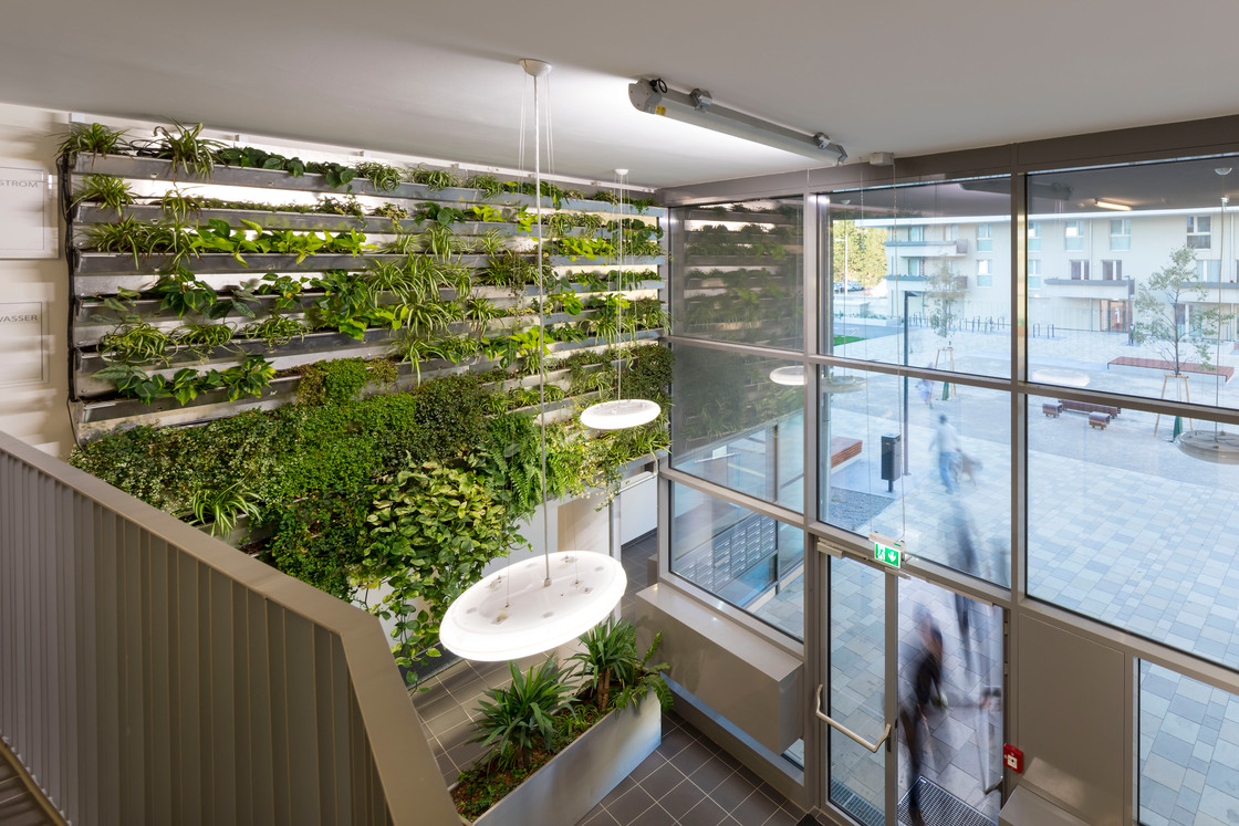 Ein Foto von Rupert Steiner