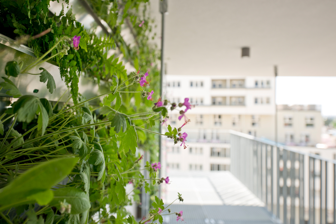 Ein Foto von Christoph Treberspurg