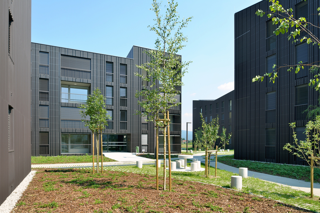 Ein Foto von Miran Kambič