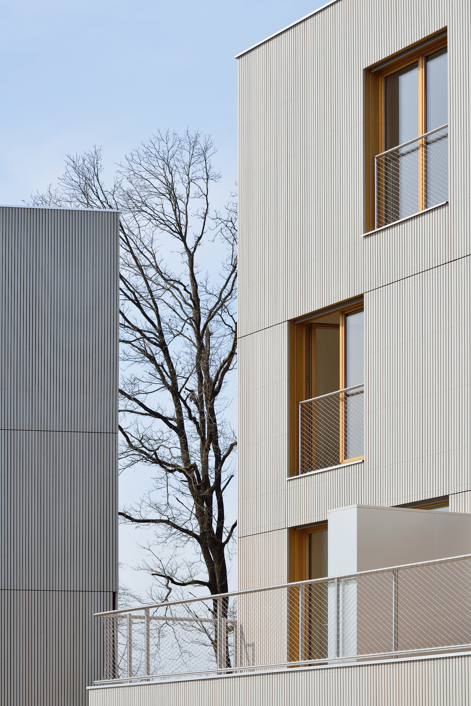 Ein Foto von Miran Kambič