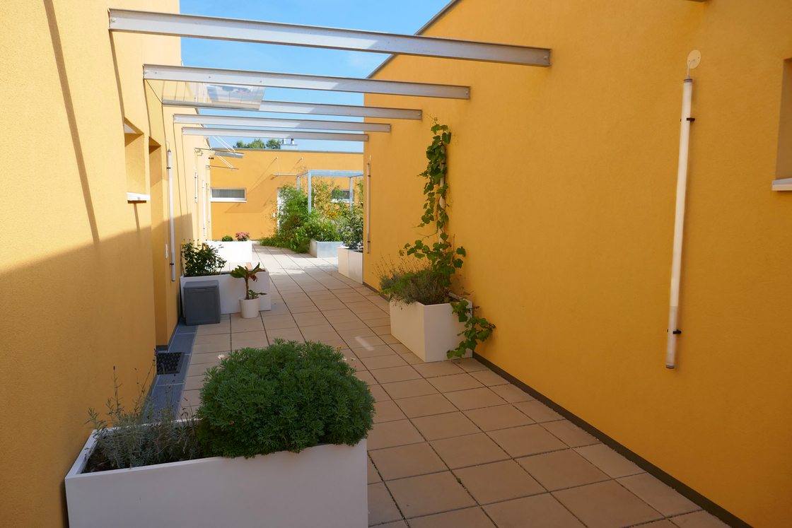 Ein Foto von Thomas Moosmann