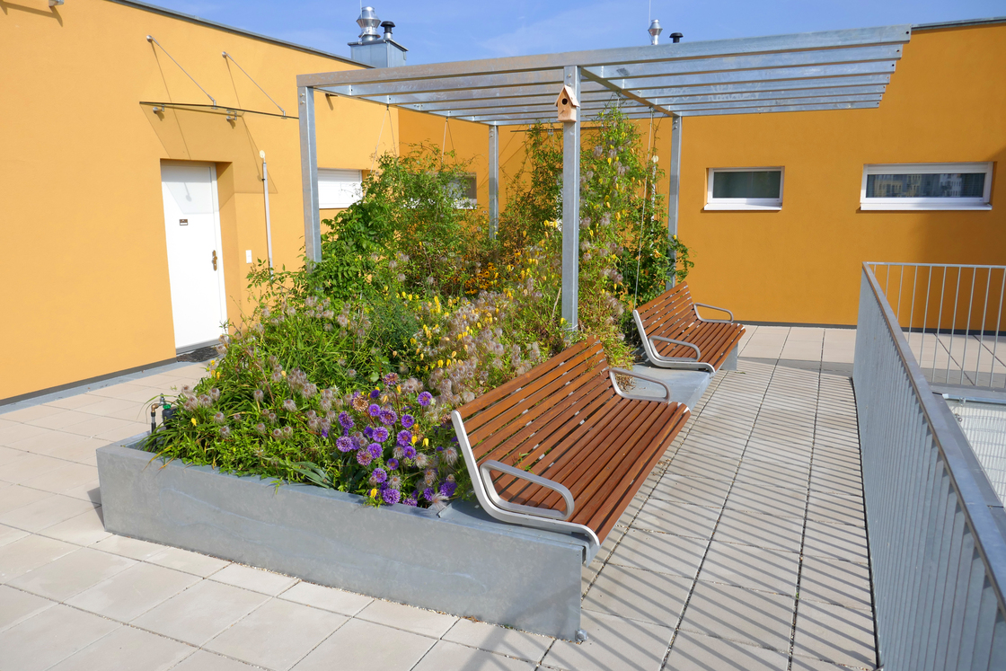 Ein Foto von Thomas Moosmann