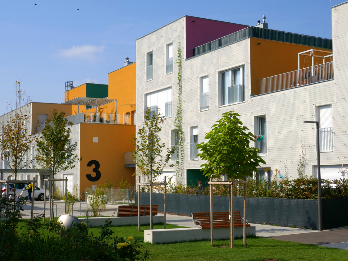 Ein Foto von Thomas Moosmann