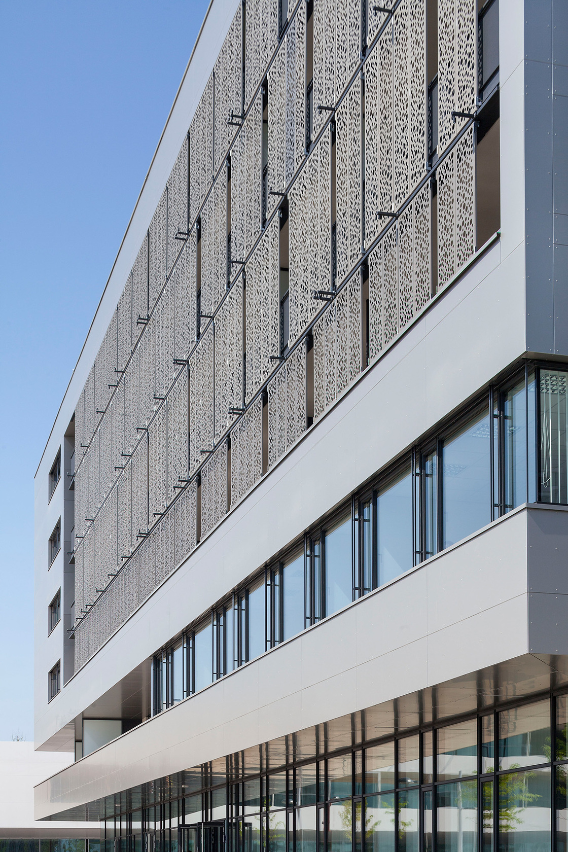 Ein Foto von Rupert Steiner