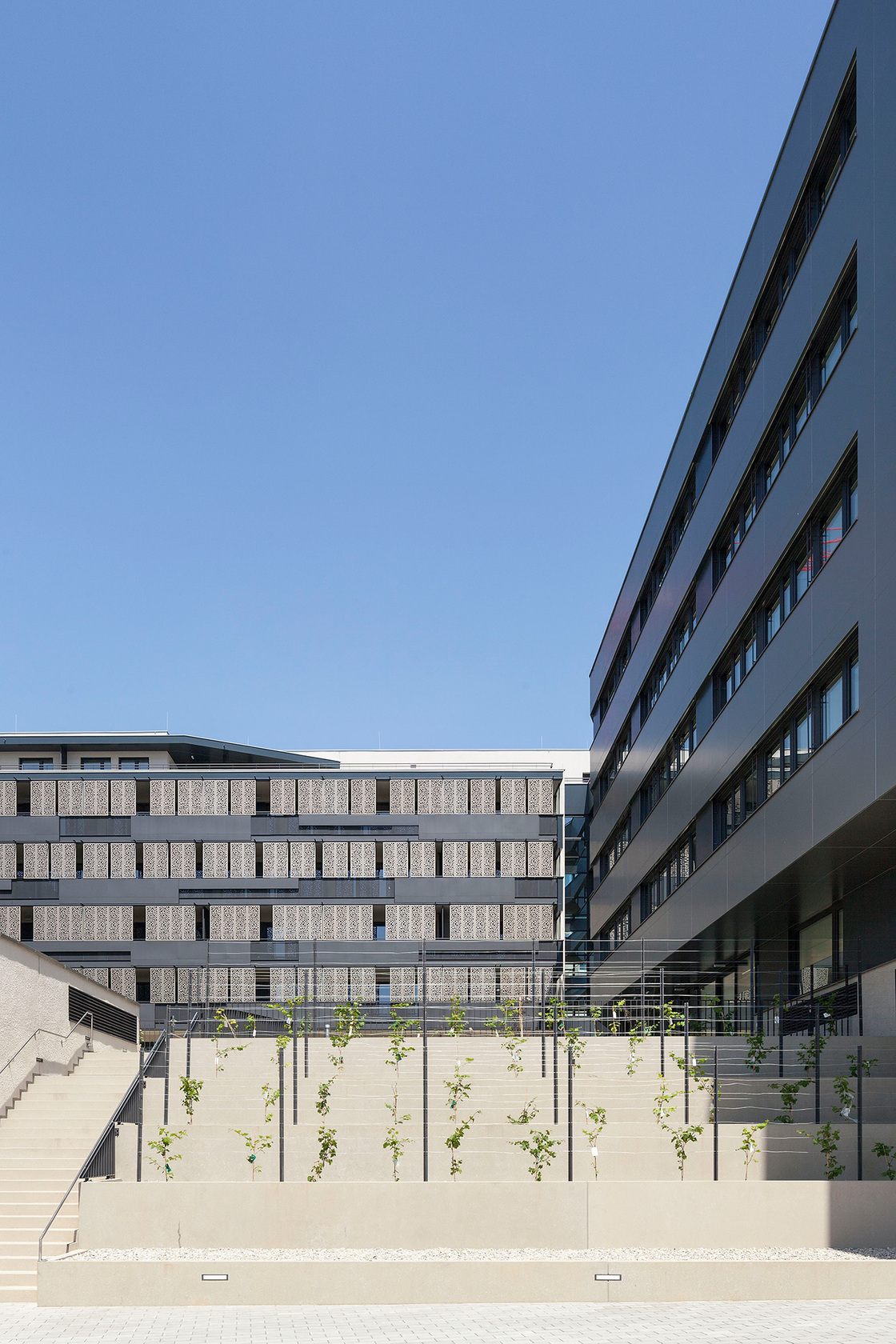 Ein Foto von Rupert Steiner