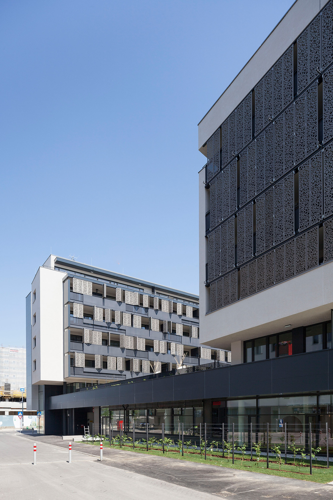 Ein Foto von Rupert Steiner