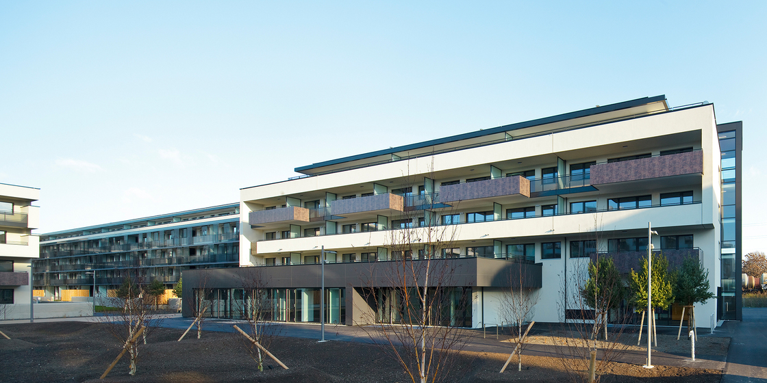 Ein Foto von Rupert Steiner