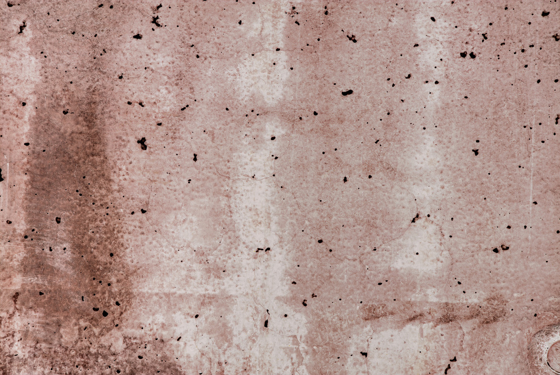 Ein Foto von Gustav Willeit