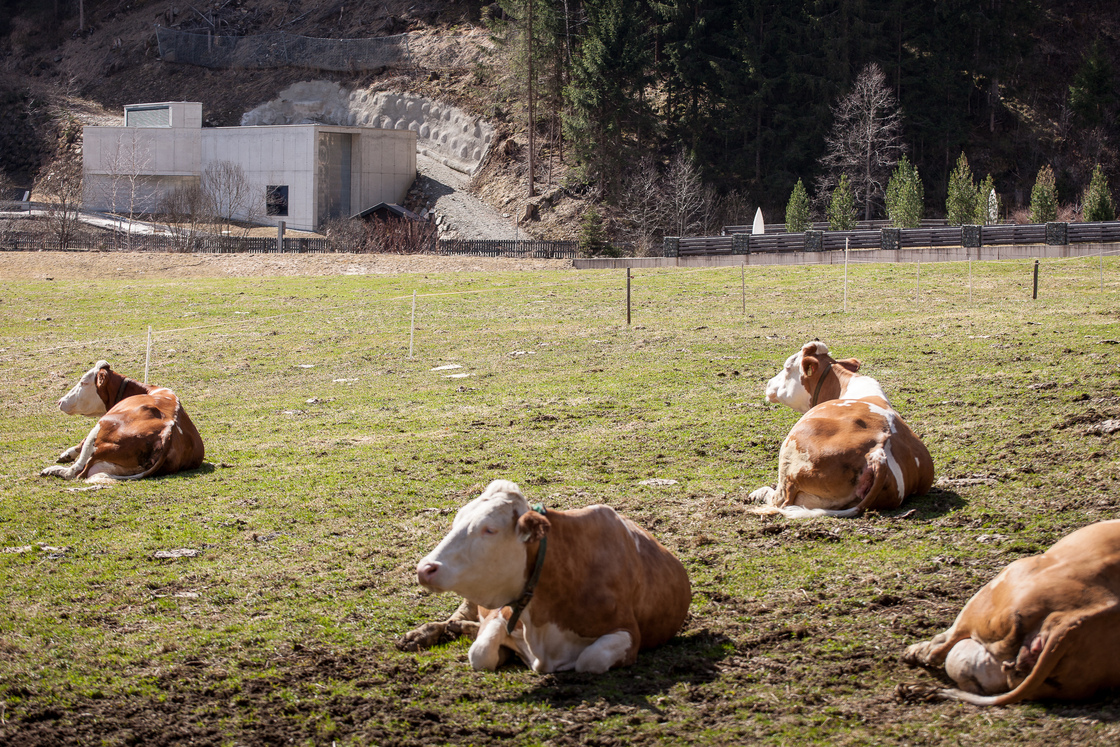 Ein Foto von Kurt Hörbst