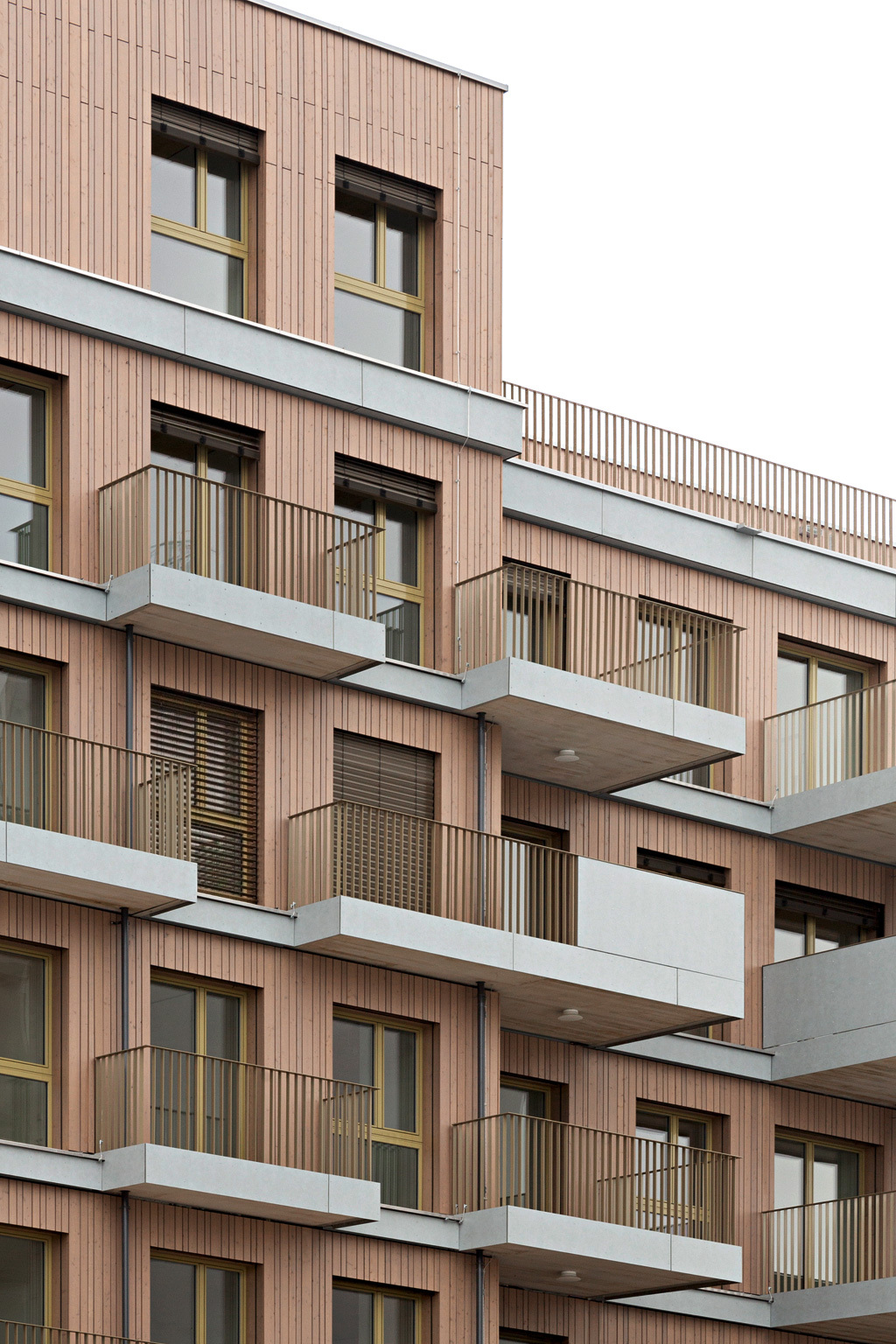 Ein Foto von Paul Sebesta