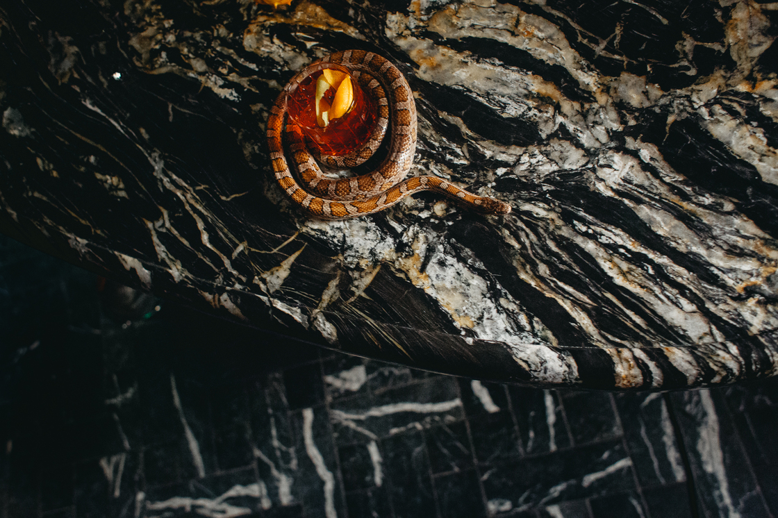 Ein Foto von WARDA NETWORK