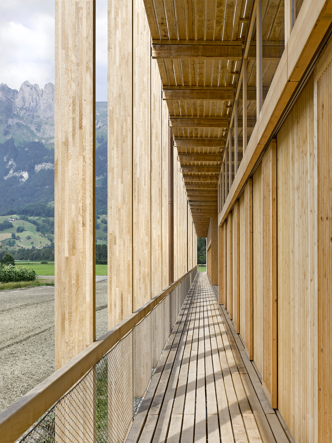 Ein Foto von Seraina Wirz