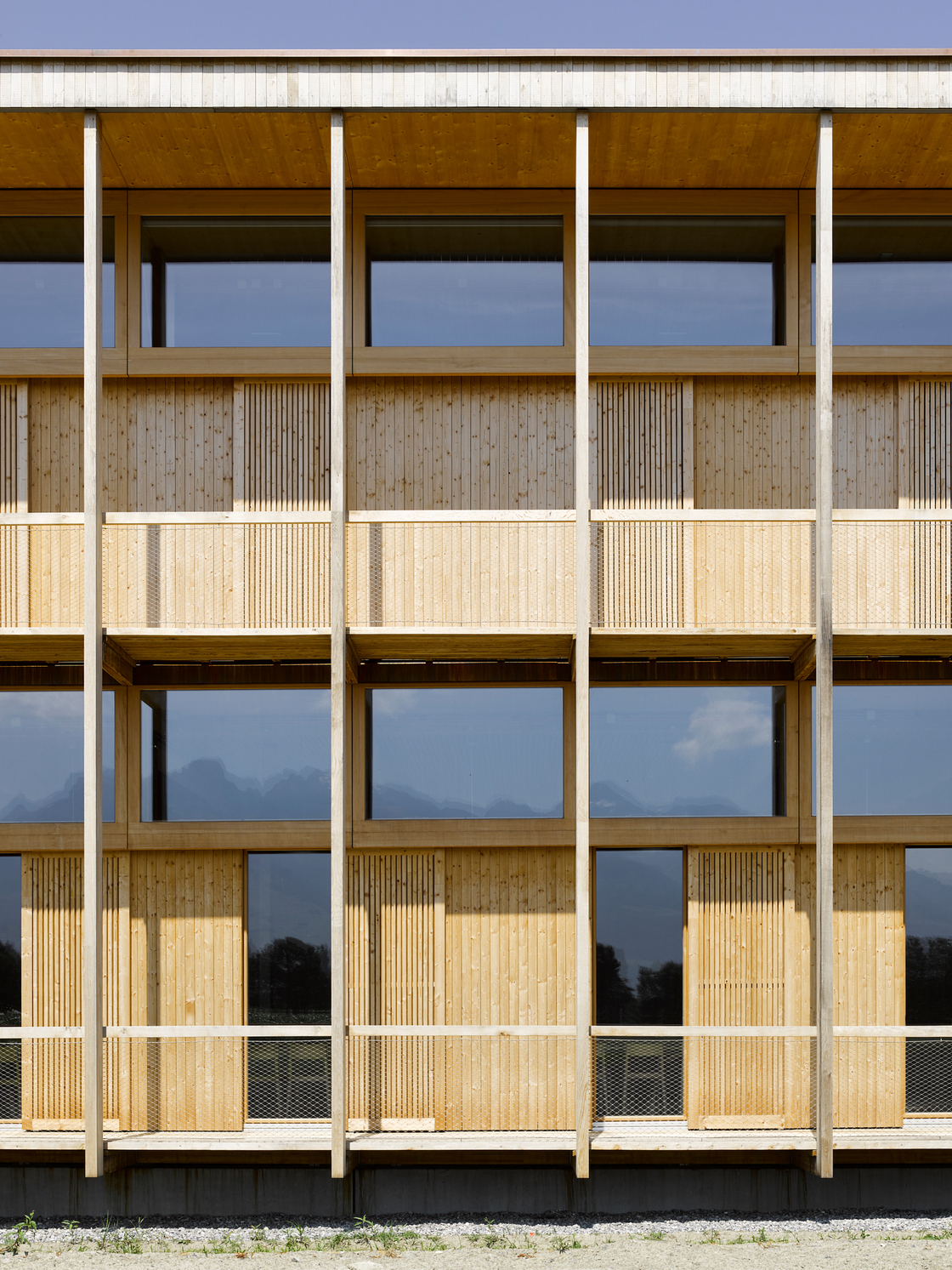 Ein Foto von Seraina Wirz