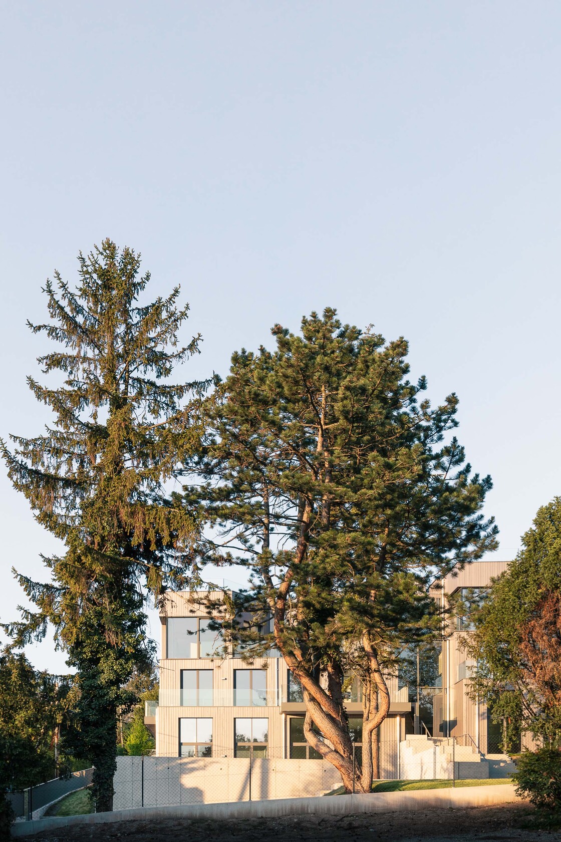 Ein Foto von tschinkersten