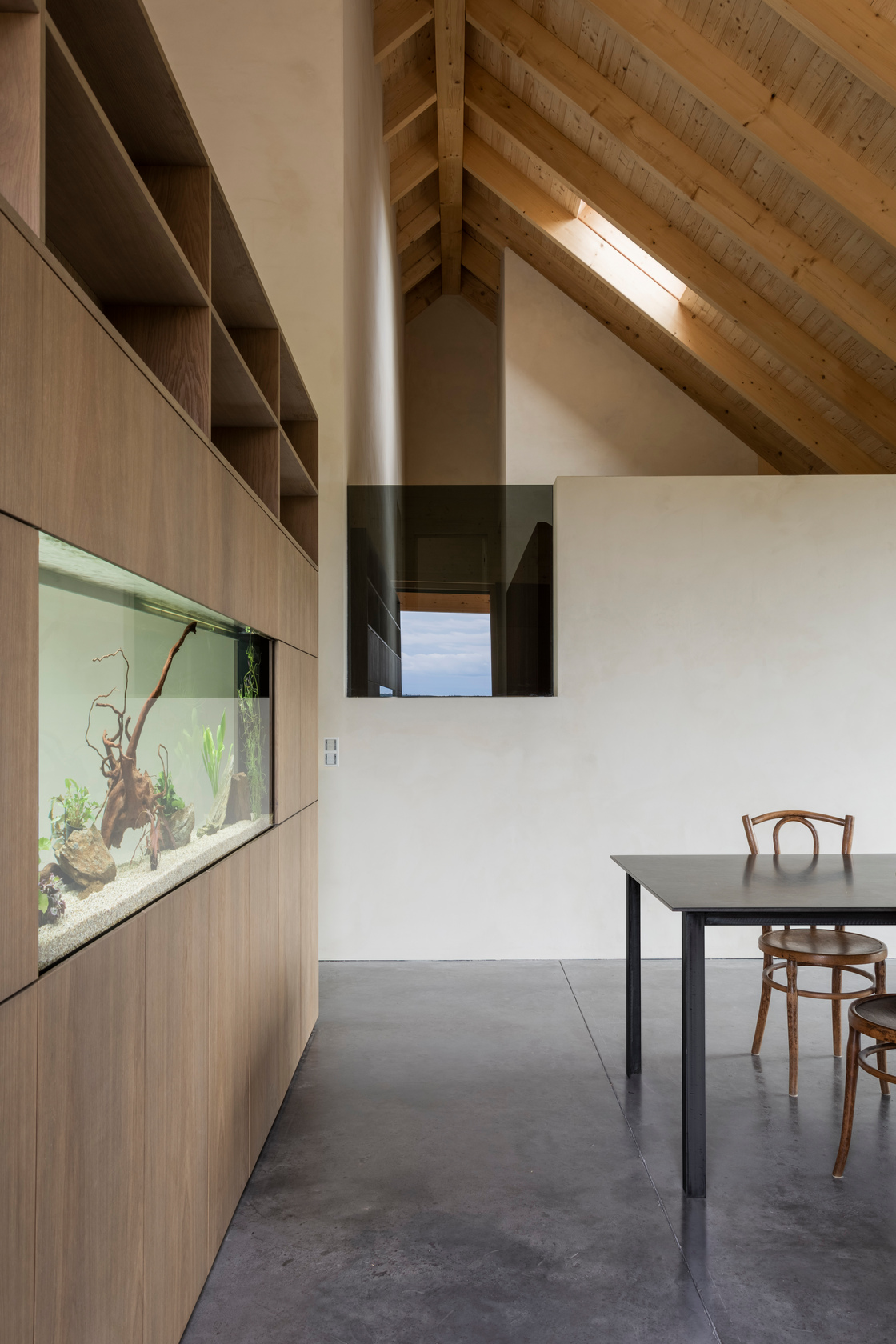 Ein Foto von Noah Santer