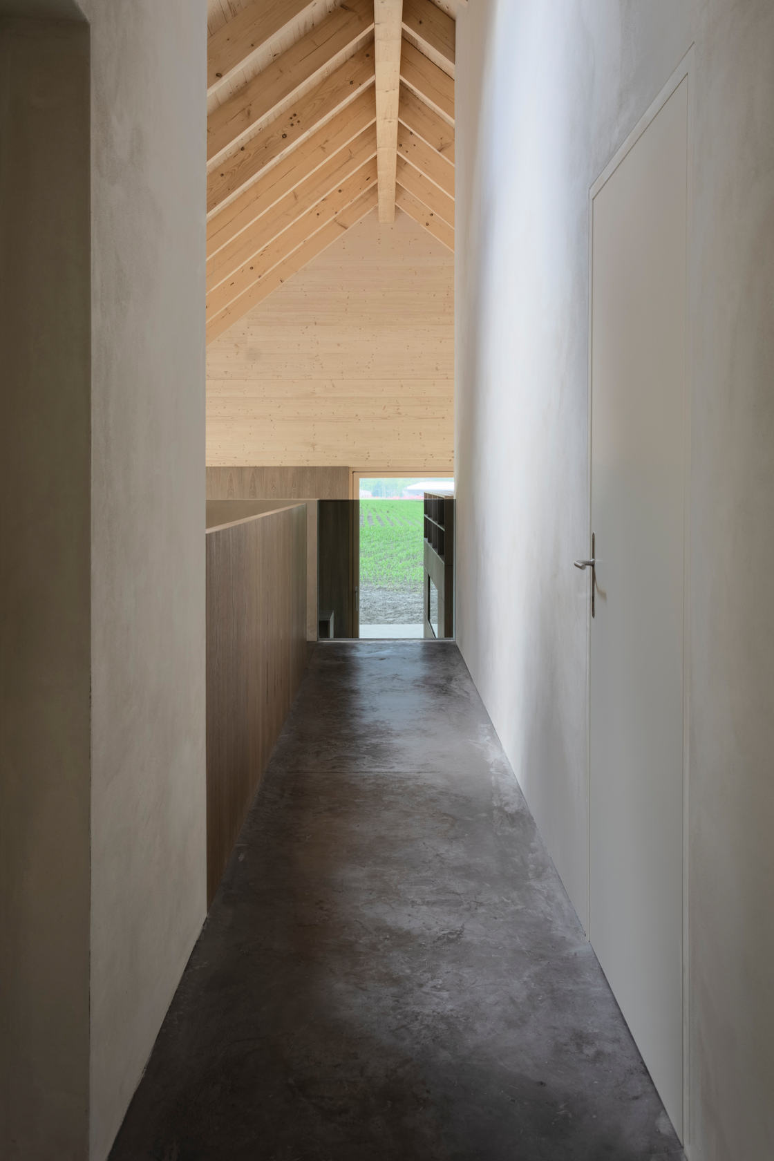 Ein Foto von Noah Santer