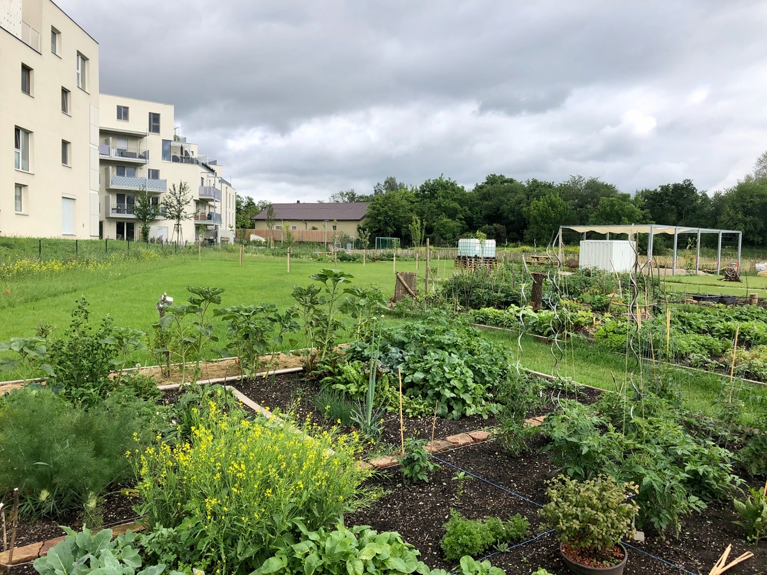Ein Foto von Norbert Mayr