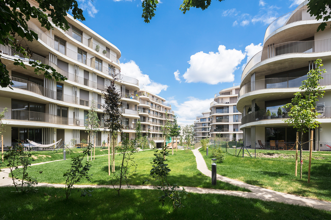 Ein Foto von Daniel Hawelka