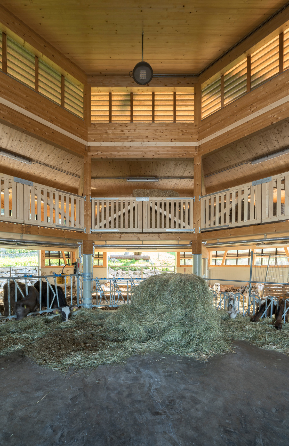 Ein Foto von Georg Alfare