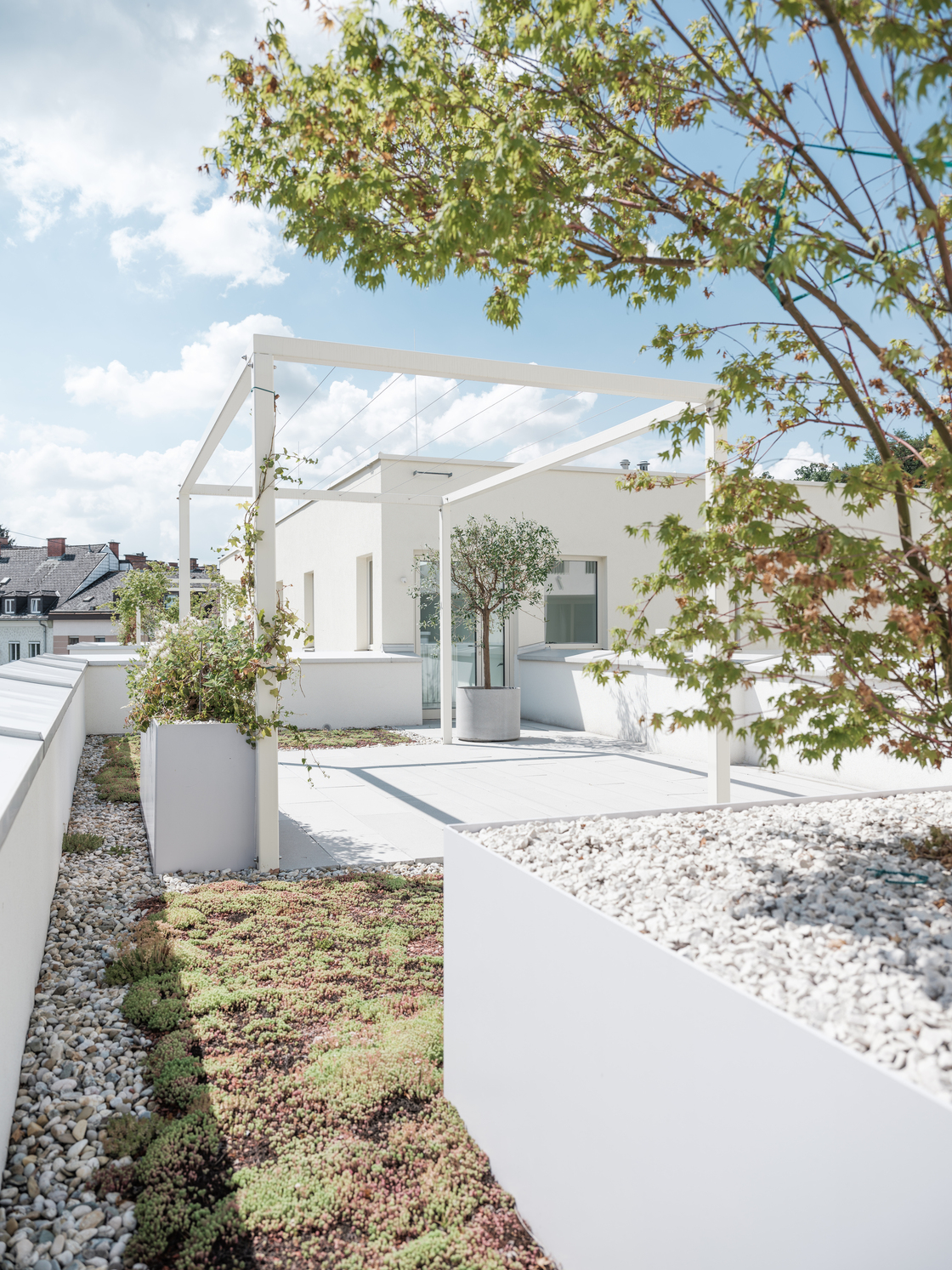 Ein Foto von Robert Maybach