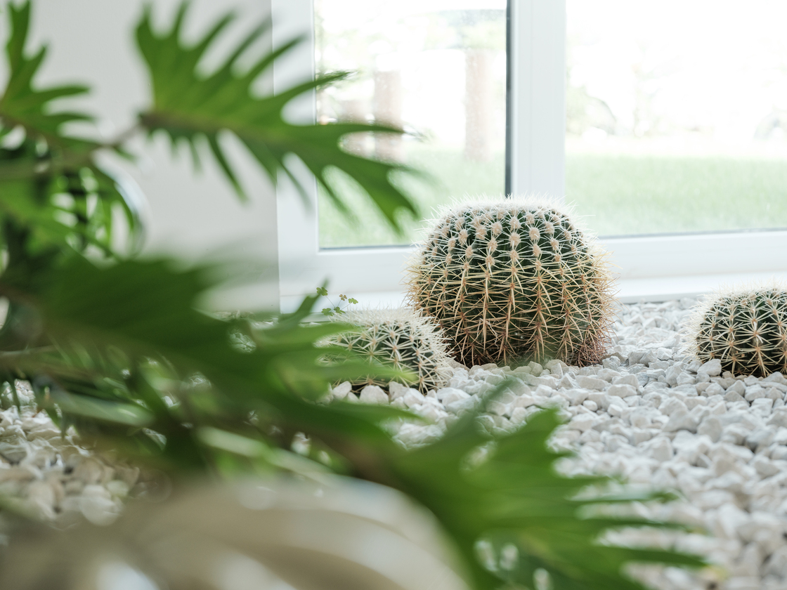 Ein Foto von Robert Maybach