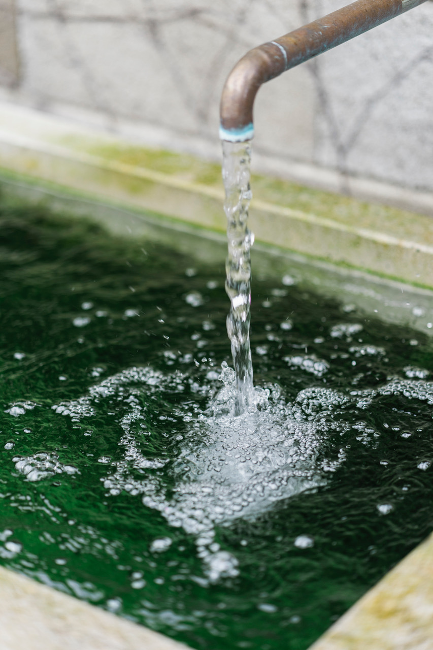 Ein Foto von Rainer Schoditsch