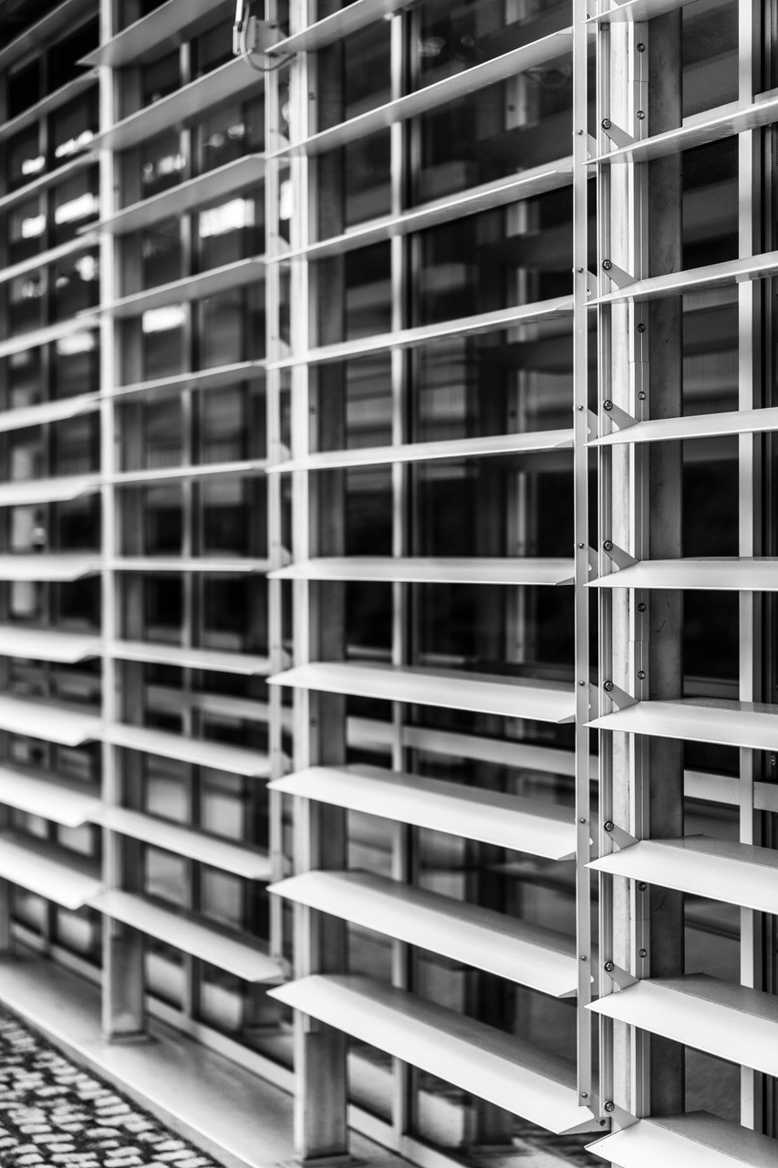 Ein Foto von Rainer Schoditsch