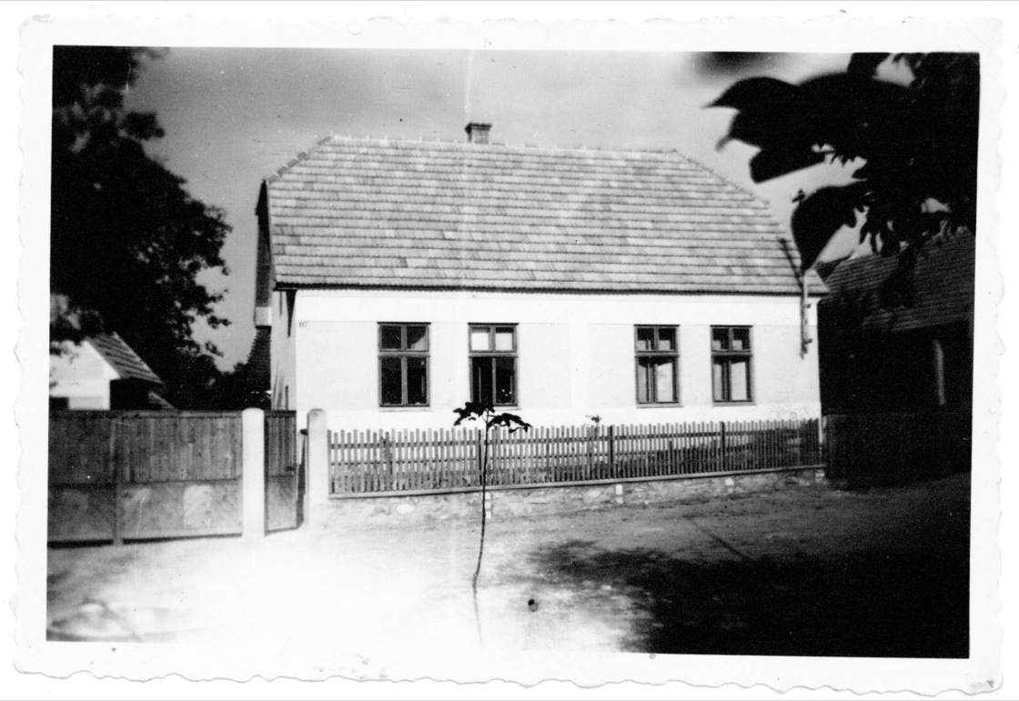 Ein Foto von Weingut Weninger GmbH