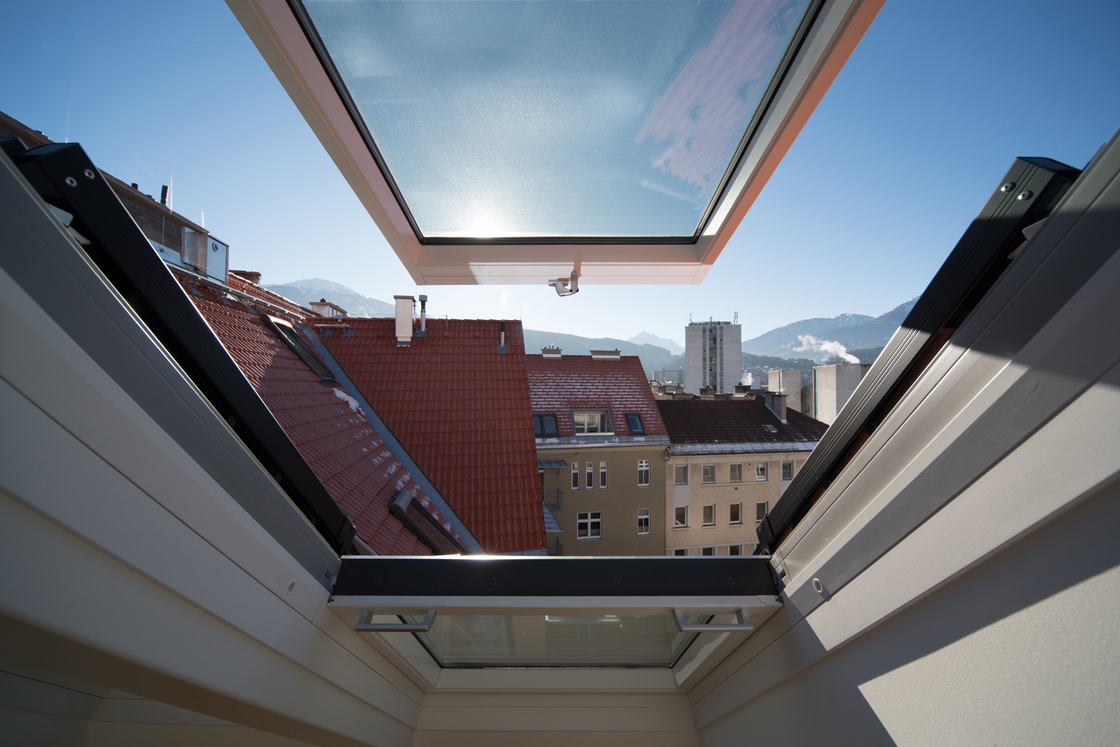 Ein Foto von Birgit Koell