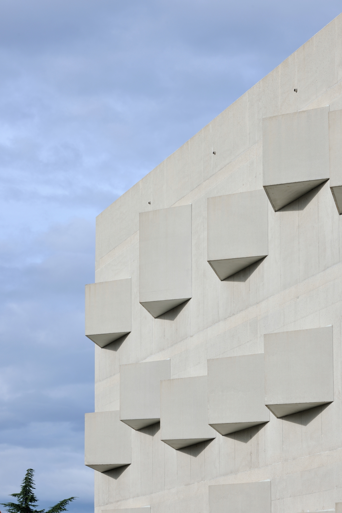 Ein Foto von Miran Kambič