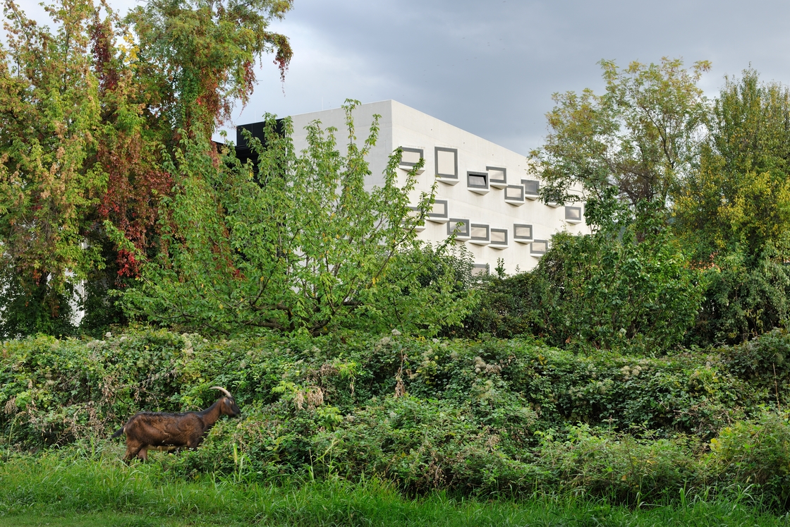 Ein Foto von Miran Kambič