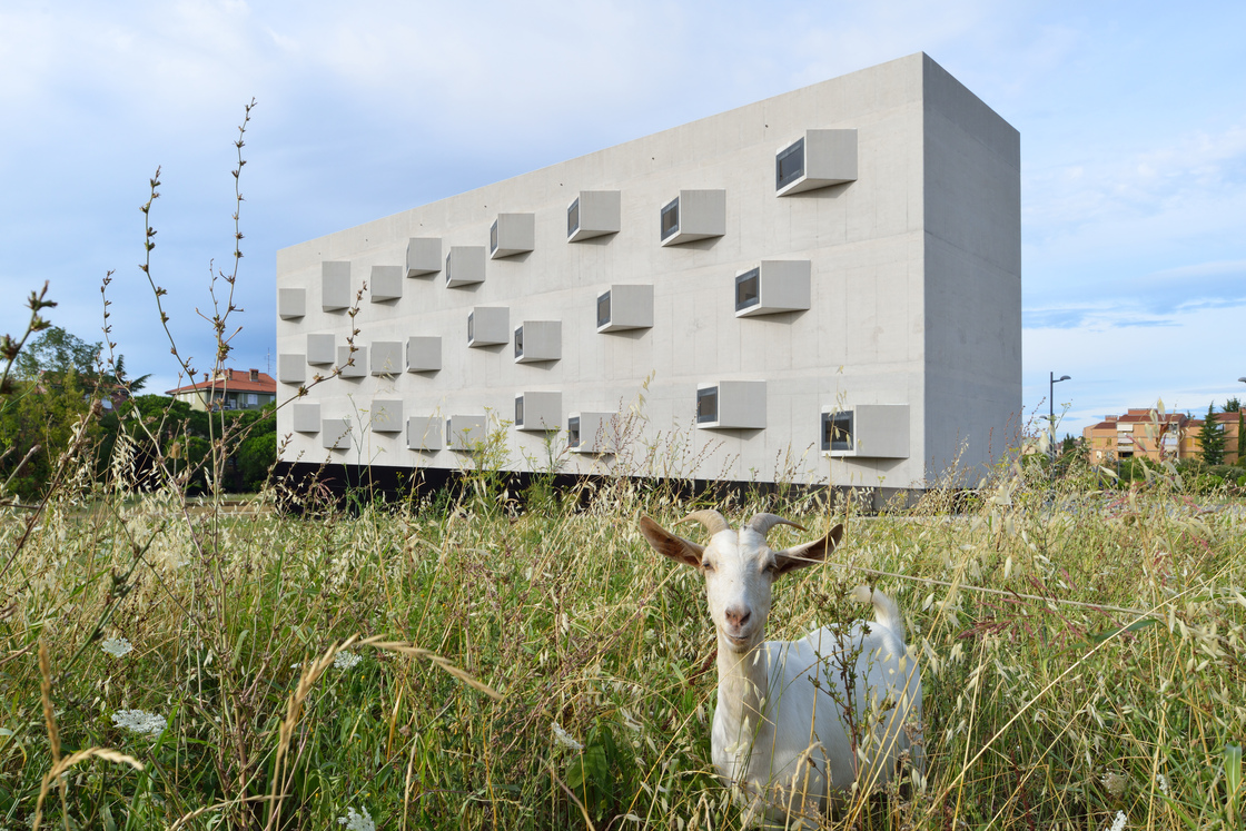 Ein Foto von Miran Kambič