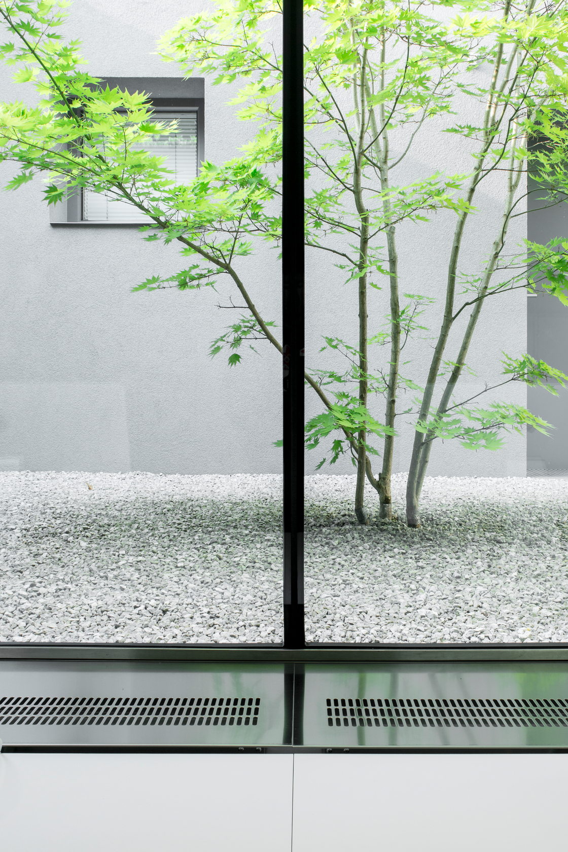 Ein Foto von Flavio Coddou