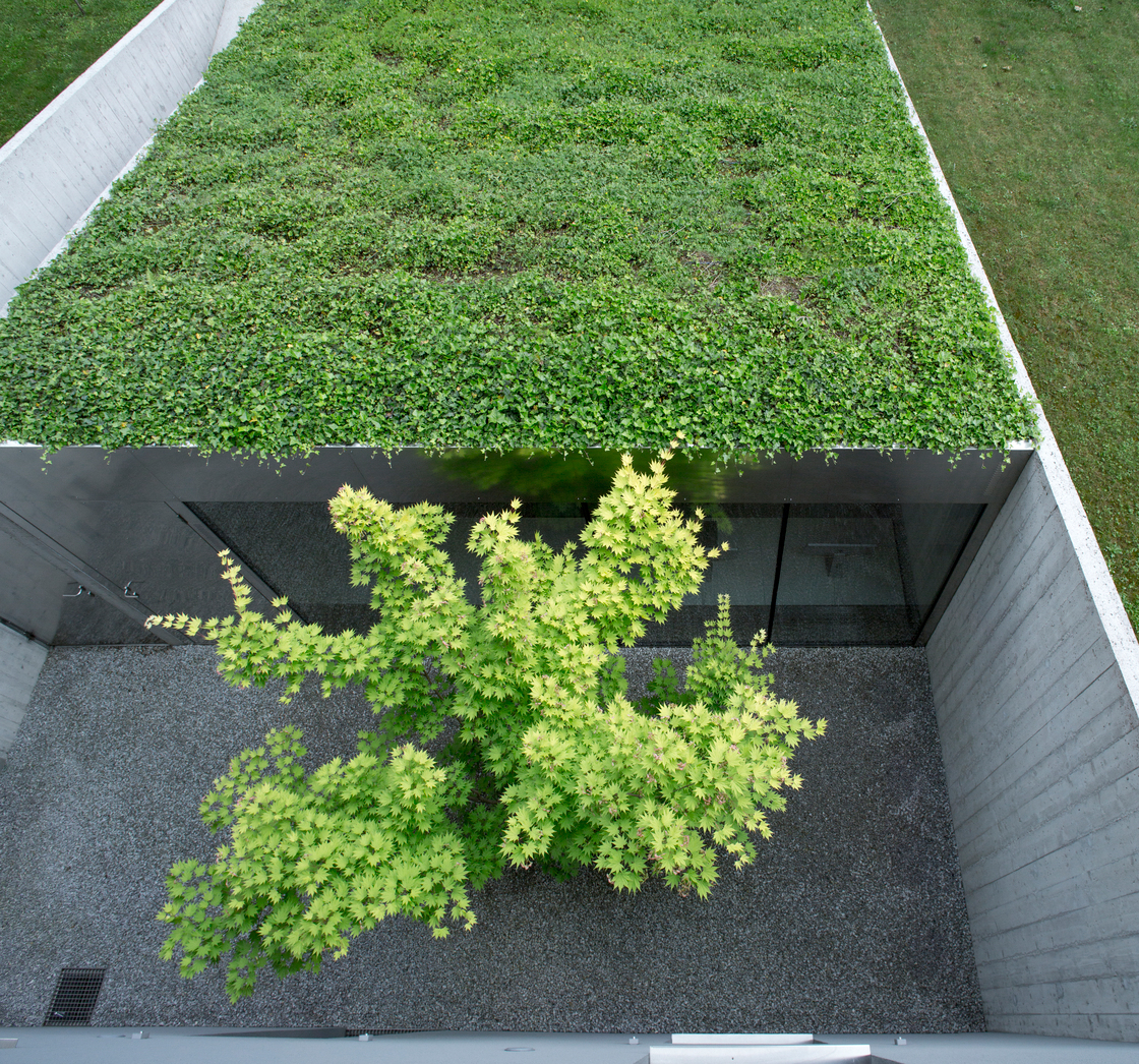 Ein Foto von Flavio Coddou