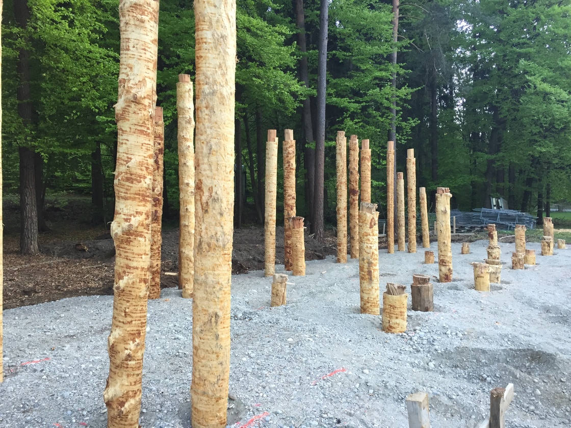 Ein Foto von architekten traninger&walder