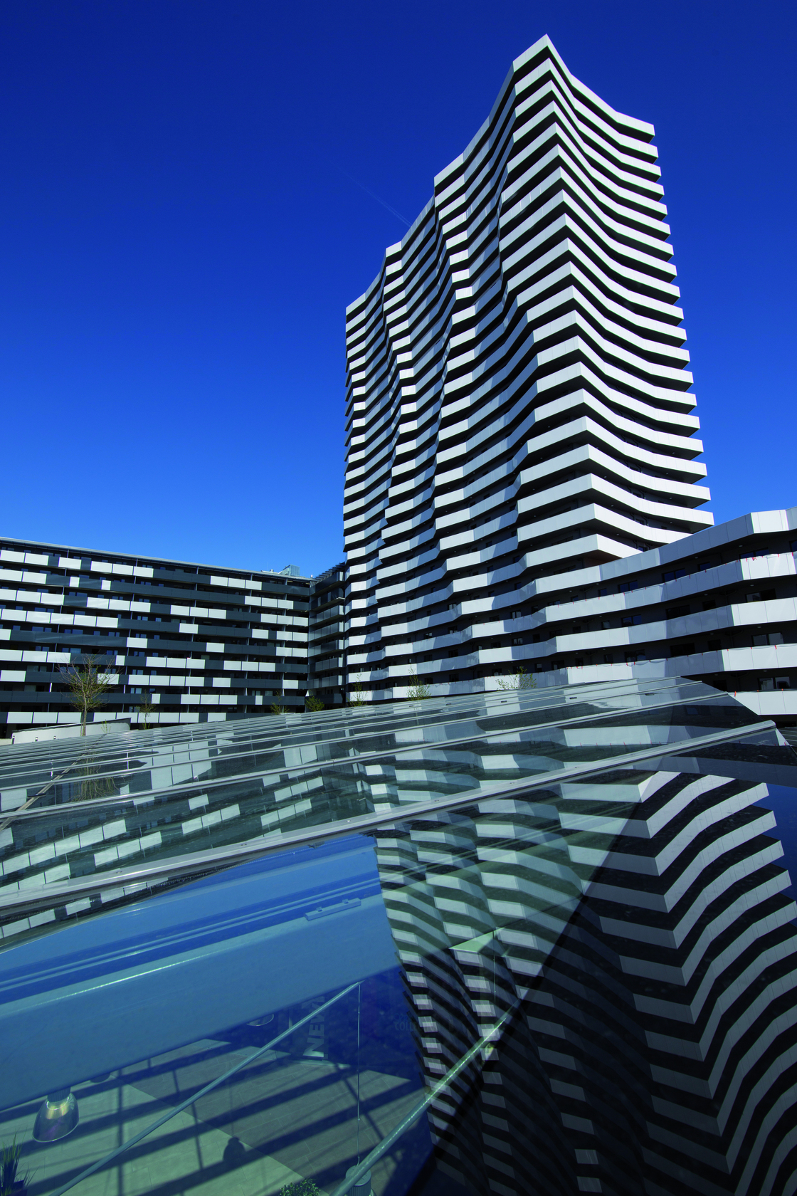 Ein Foto von Lukas Dostal