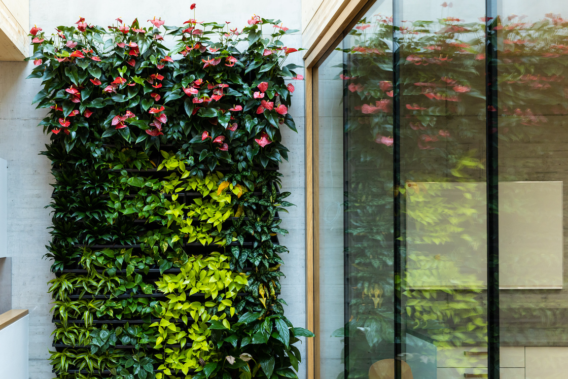 Ein Foto von BOKU Medienstelle