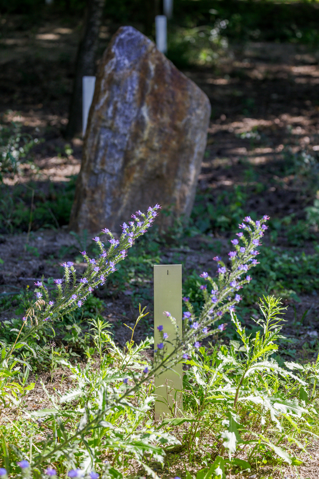 Ein Foto von Konrad Neubauer