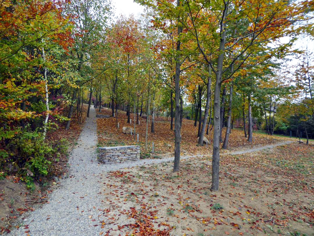 Ein Foto von Konrad Neubauer