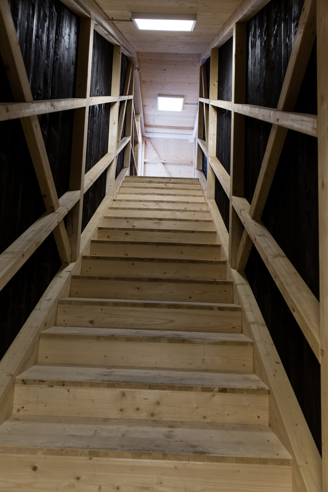 Ein Foto von Nikolas Hagele