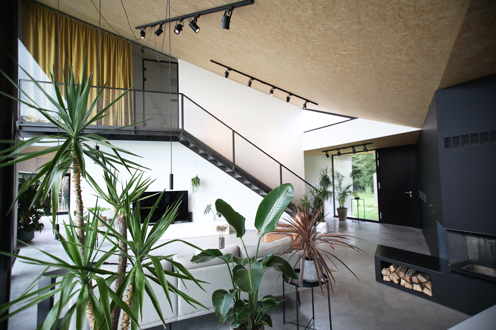 Ein Foto von Kerstin Ordelt