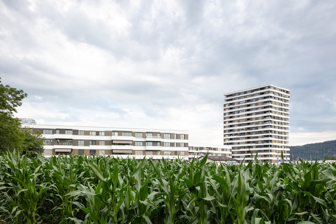 Ein Foto von Radek Brunecky