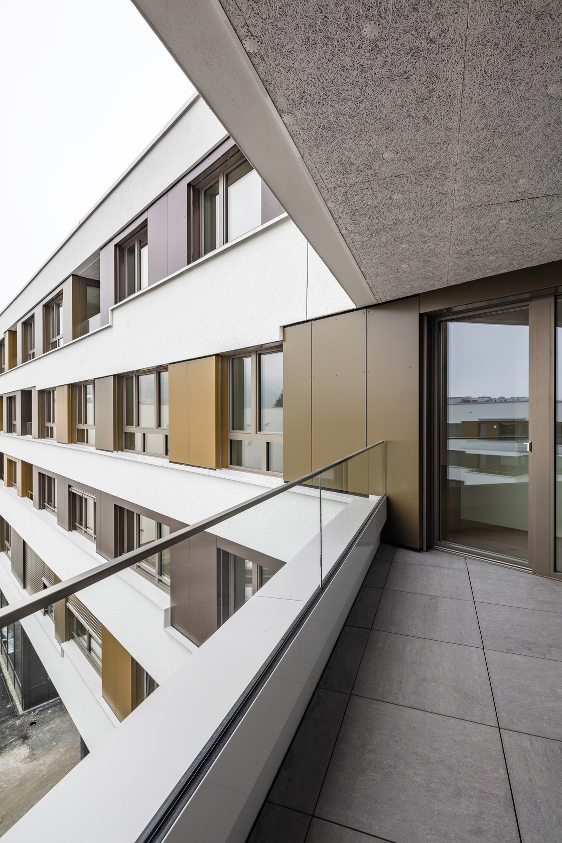 Ein Foto von Radek Brunecky