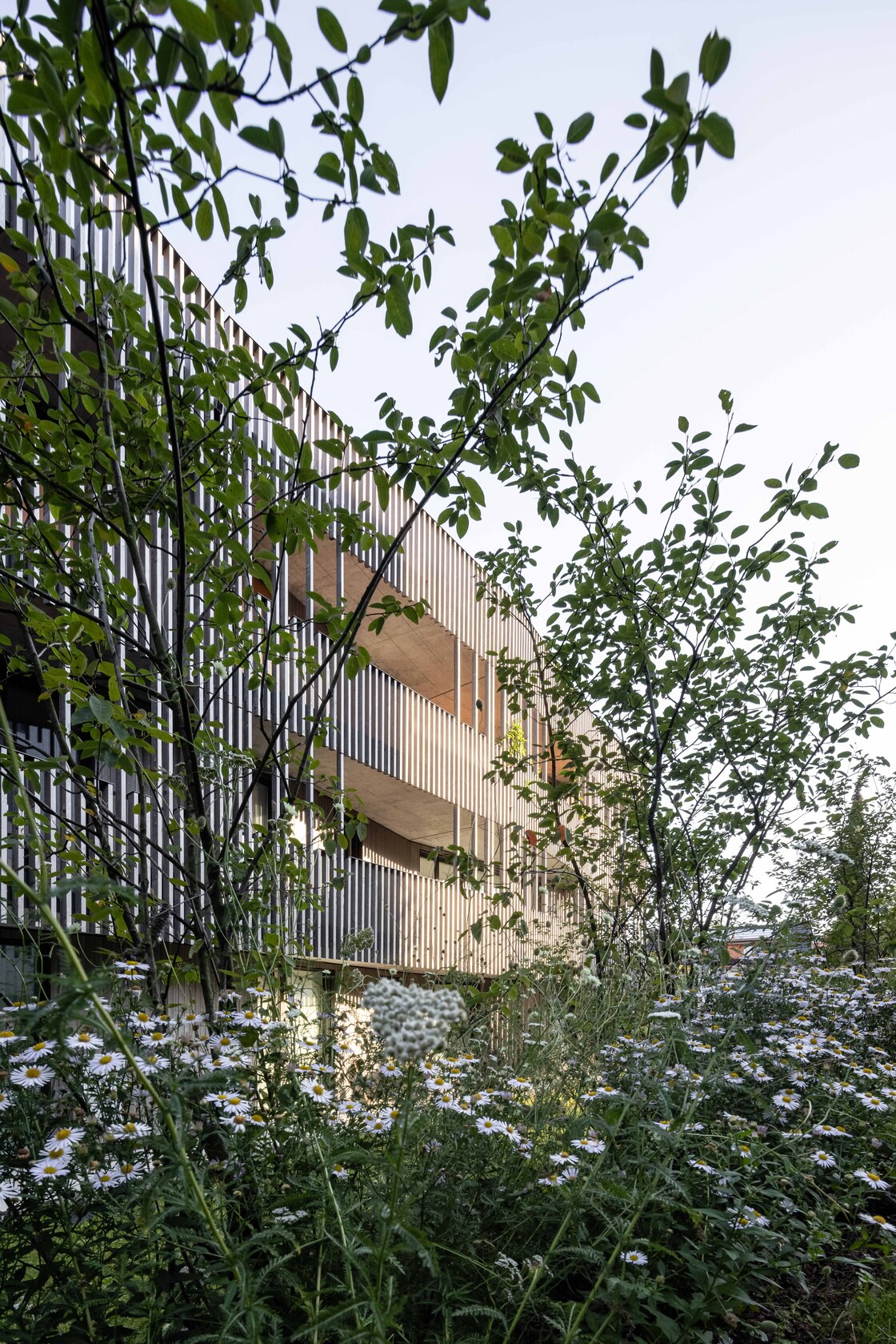 Ein Foto von Radek Brunecky