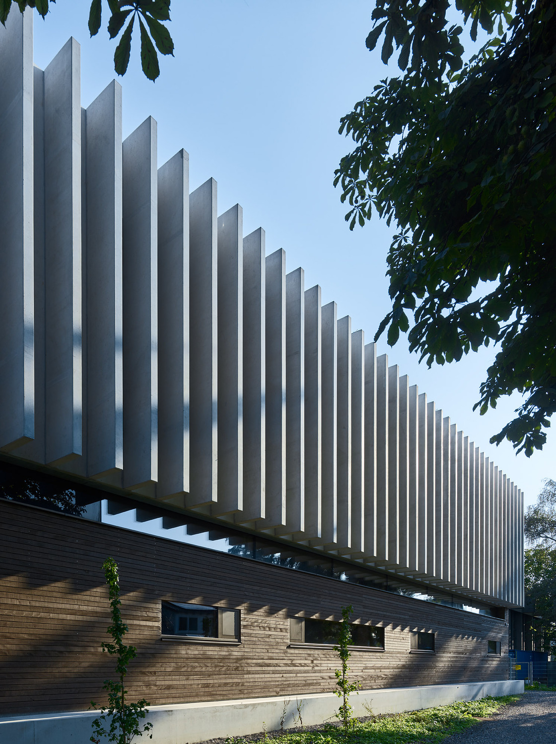 Ein Foto von Bruno Klomfar