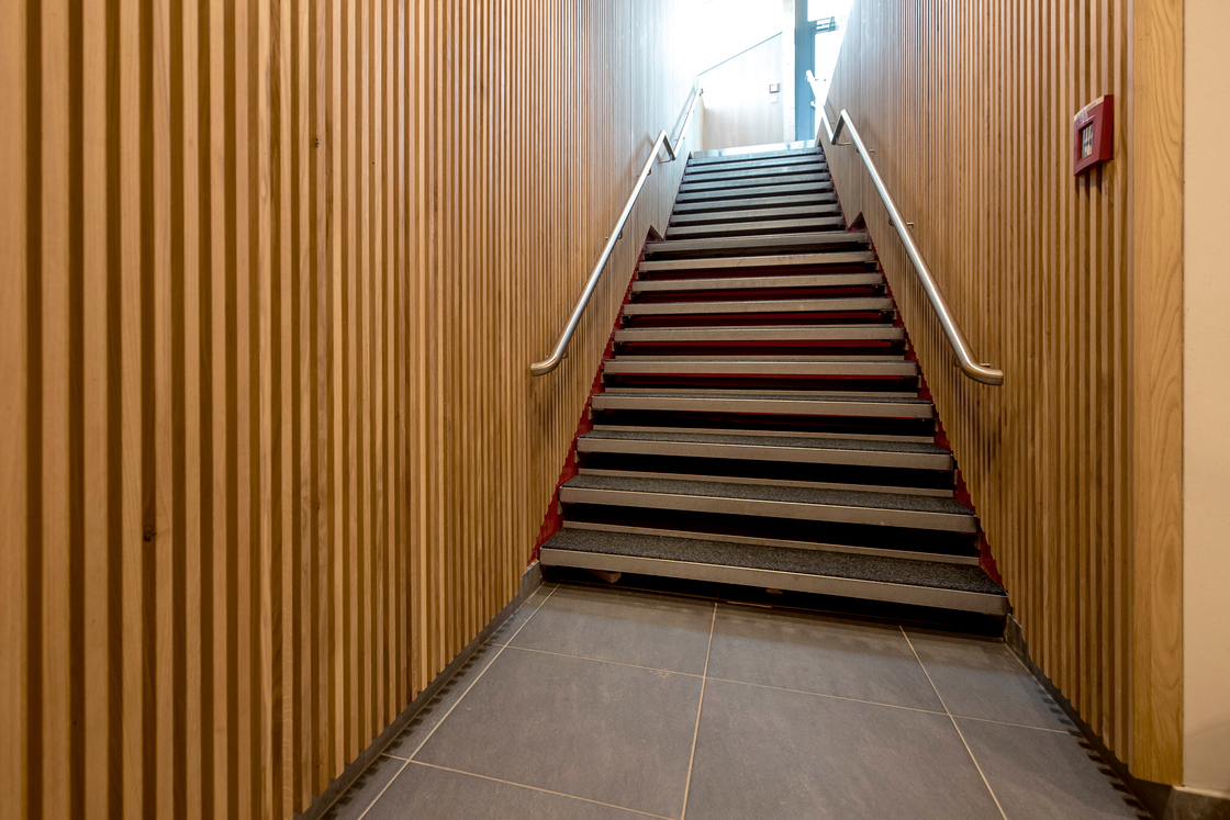 Ein Foto von Tom Lamm