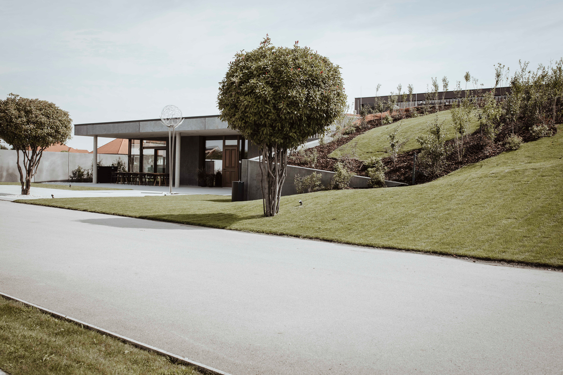 Ein Foto von zweischrittweiter.at