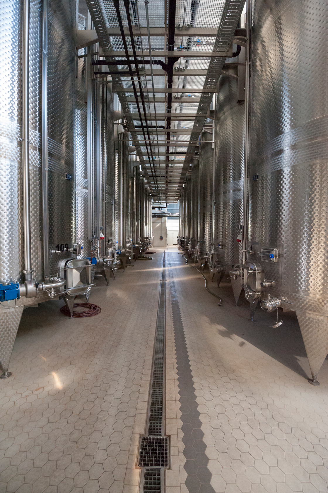 Ein Foto von zweischrittweiter.at