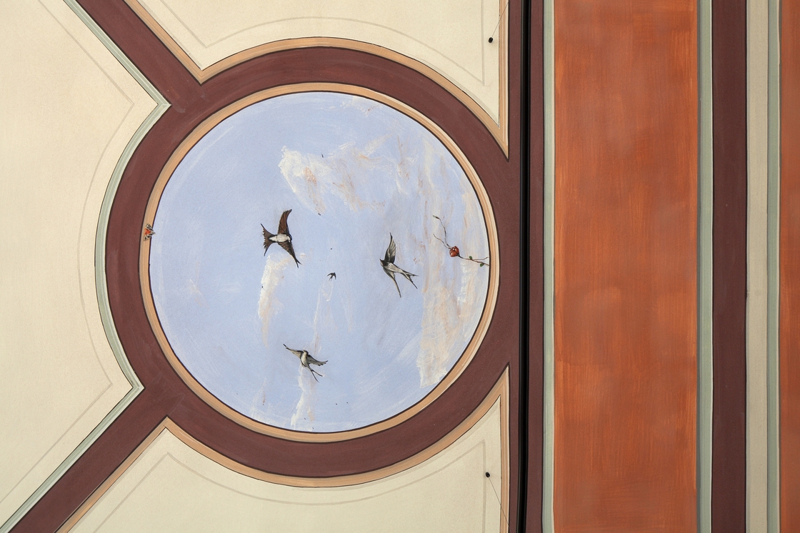 Ein Foto von Gregor Graf