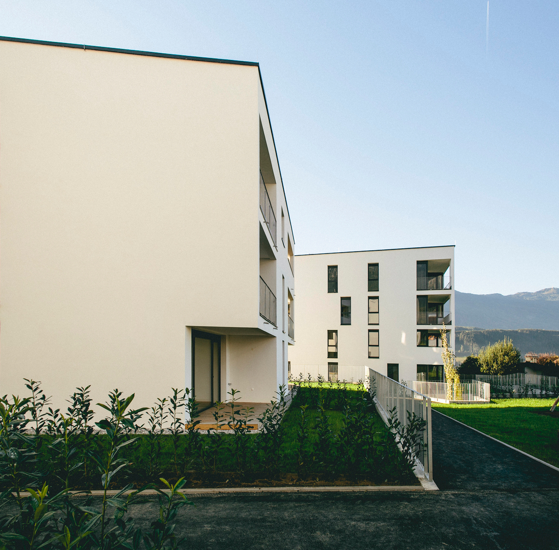 Ein Foto von Mojo Reitter